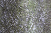 Coven Lawn fibreglass roof work